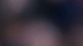 El buen desempeño del galo motivó a la directiva a asegurarlo por un año más.