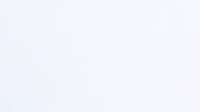 Carletto fue presentado como D.T. del Everton.