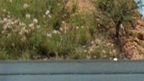 EL T-MEC regulará el comercio entre EEUU, México y Canadá.