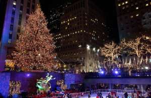 Llegó el árbol de Navidad del Rockefeller Center, normalmente el más fotografiado