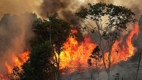 El carbón negro o el polvo pueden aumentar el derretimiento anual en los glaciares.