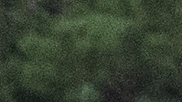 Los Obama cuando visitaban Martha's Vineyard.