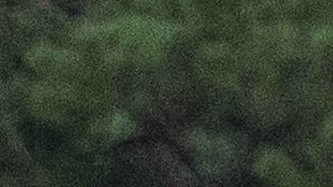 Los Obama cuando visitaban Martha's Vineyard.