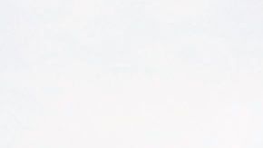 Se ha rechazado a personas cuyos casos de asilo deben ser analizados.