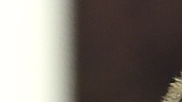 Messi y Cristiano Ronaldo también lideran las listas de ganancias entre futbolistas.