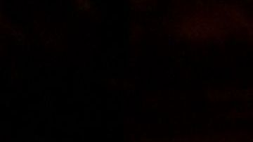 Este año 'La Pulga' venció al 'Comandante' en ganancias totales