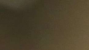 Tener buen carácter de moral es requisito para ciudadanía.