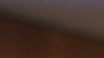 Un 15% de los trabajadores agrícolas son inmigrantes indocumentados.