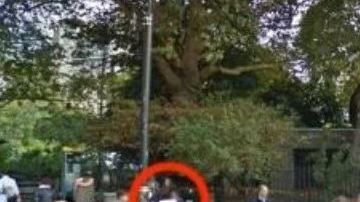 Creyó que había visto mal pero un amigo también se encontró con lo mismo.