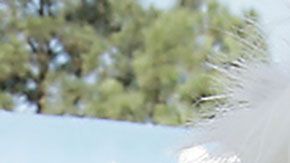 El hombre juntó el dinero a través de donaciones que hizo la comunidad. (Imagen sólo con fines ilustrativos).