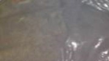 Hallan descuartizados a 2, autodefensas hartos del CJNG se adjudican en crimen