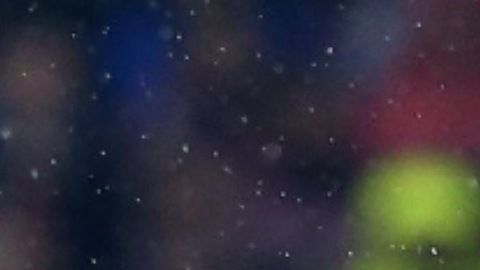 El mexicano fue titular y participó 84 minutos.