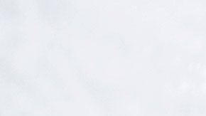 Partido de hockey sobre hielo.