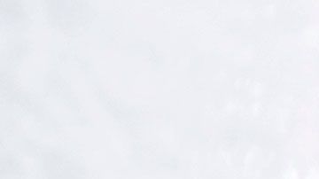 Partido de hockey sobre hielo.