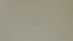 Si encuentra una hormiga, es seguro que tendrá toda una colonia cerca.