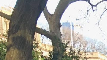 Luchiana Owens, miembro del sindicato 32BJ y el concejal Mark Levine antes de la audiencia./Cortesía