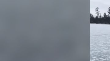 Con una cuerda consiguió sacar a los ciervos del hielo.