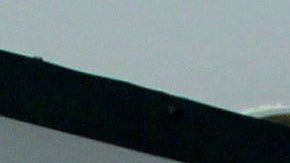 Nueve años después, Alberto 'El Patrón' volverá a la jaula en un combate contra Tito Ortiz.