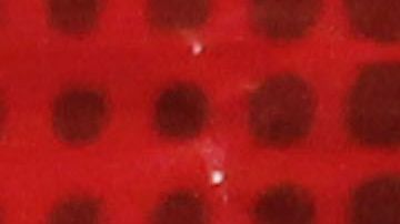 El secuestro fue una especia de cortina de humo para desviar la atención sobre el caso del desafuero de AMLO.