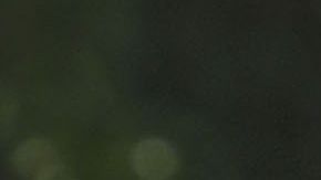 El rebaño quiere jugadores de experiencia.