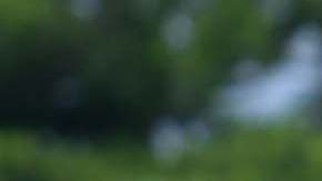 Sebastián Saucedo ya había jugado en la Liga MX con el Veracruz.