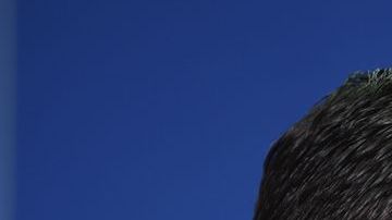 Cruz Azul hace un llamado a todos los celestes a dejarse la barba, durante la liguilla