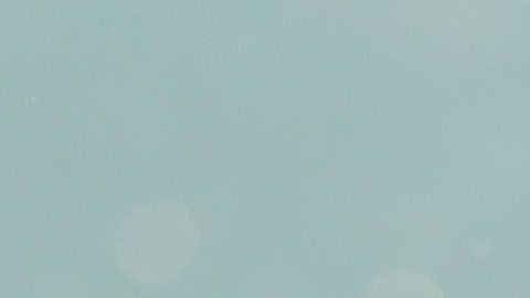 Paul Pogba levantó la Copa del Mundo en Rusia 2018.