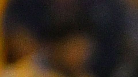 Pedro Gallese está envuelto en un escándalo por infidelidad, a tres días de disputar la final de la Primera División de Perú.