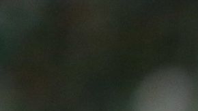 José Juan Vázquez fue campeón con Chivas en el Apertura 2017.