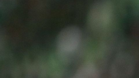 José Juan Vázquez cumpliría una segunda etapa con el 'rebaño'.