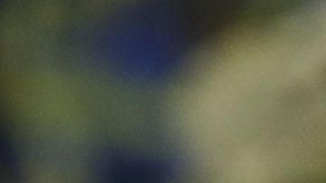 Para Michaell Chirinos es esencial que alguien lo compre.