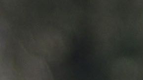 Guadalajara, Jalisco, 31 de marzo de 2019. Norma Palafox, durante el juego de la jornada 15 torneo Clausura 2019 de la Liga MX Femenil, entre las Chivas Rayadas del Guadalajara y Monarcas Morelia, celebrado en Verde Valle. Foto: Imago7/ Fabian Meza