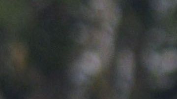 El equipo sub 17 del América no pudo calificar a la liguilla en este torneo.