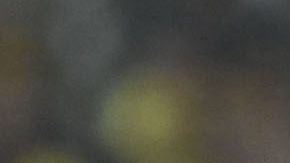 Esta noche Paul Aguilar romperá un récord americanista.