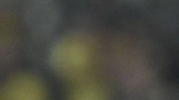 Esta noche Paul Aguilar romperá un récord americanista.