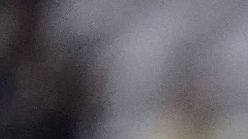 Morelia vs. América, una semifinal muy cerrada.