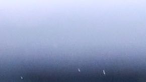 Alondra González dejará a las Águilas.