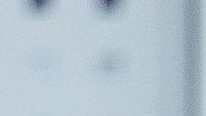 Checo tocó el automóvil del tetracampeón del mundo en la curva 11