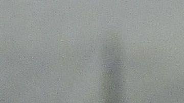 Nico Castillo listo para volver a la acción.