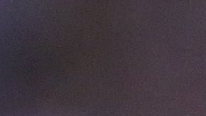 Cavallini prometió regresar a Puebla.