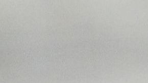 Rogelio Funes Mori se ha mostrado como un gran delantero con la pandilla.