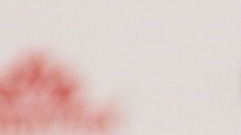 Ricardo Peláez es el nuevo presidente deportivo de las Chivas.