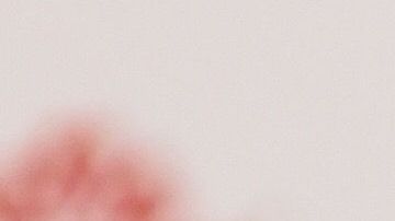 Peláez es vicepresidente deportivo del equipo.