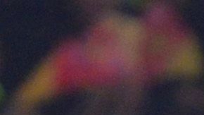 Morelia, Michoacán, 5 de diciembre de 2019. , durante el juego de ida de las semifinales del torneo Apertura 2019 de la Liga BBVA MX, entre Monarcas Morelia y Aguilas del América celebrado en el estadio Morelos. Foto: Imago7/Carlos Cuin