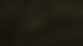 Janssen no pudo disputar el Mundial de Clubes.