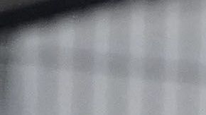 La afición del América mostrando siempre su compromiso.