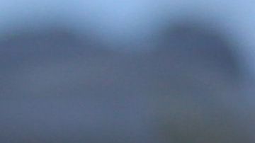 Antonio Mohamed consiguió el título de Liga que le prometió a Farid y su hija Mayra lo acompañó en el logro.