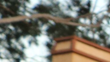 La medida trataba de echar a inquilinos basándose en denuncias.