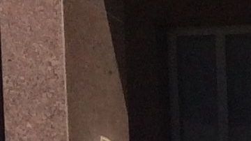 Grupo de inquilinos realizando actividades en apoyo a la  ley de control de rentas en el condado de Los Ángeles. (Archivo.)