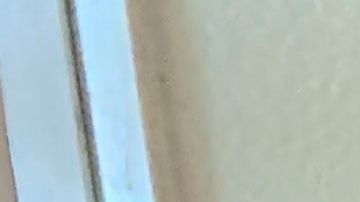 Emma Sánchez a un año de reunificarse con su familia, su esposo Michael Paulsen y sus tres hijos, Brannon Liam, Ryan Max y Michael Alex. (Araceli Martínez/La Opinión).